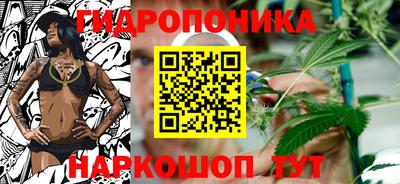 индика Ливны