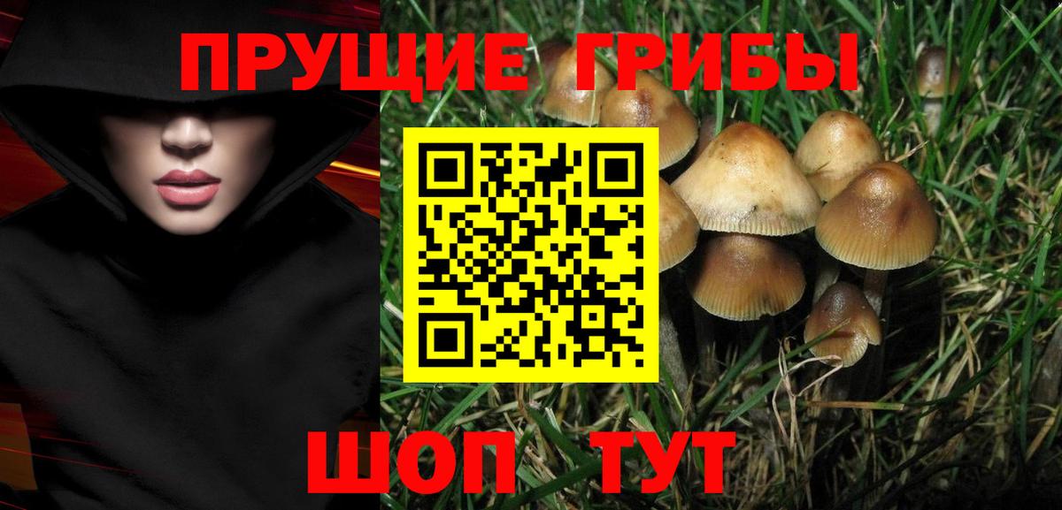 Галлюциногенные грибы Psilocybine cubensis  Вход с VPN  Жигулёвск  Псилоцибиновые грибы Magic Shrooms 